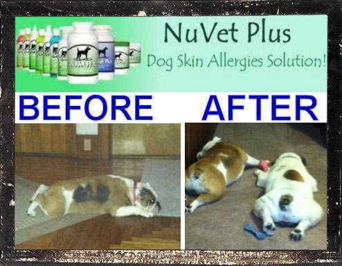 NuVet Plus for bald spots and itch