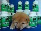 nuvet for pups