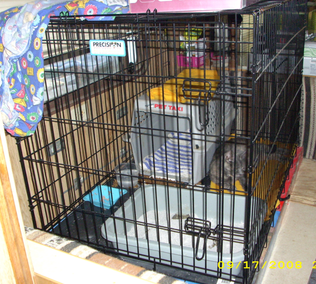 dog crate from Petco
