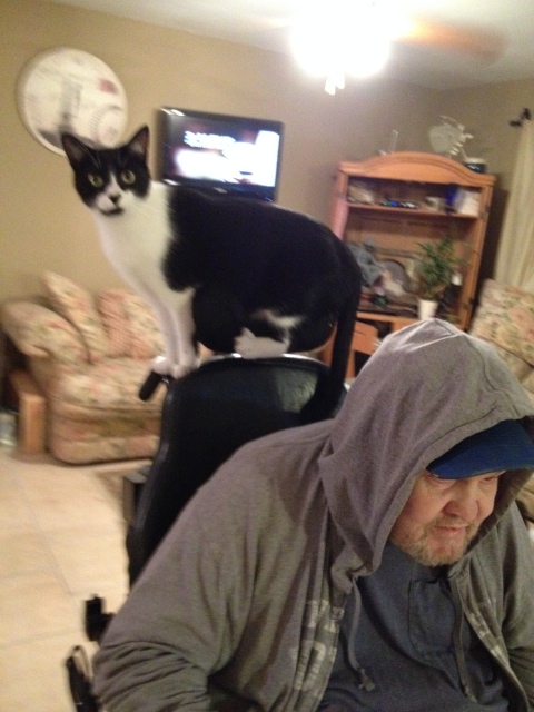 Monkey riding on dads wheelchair