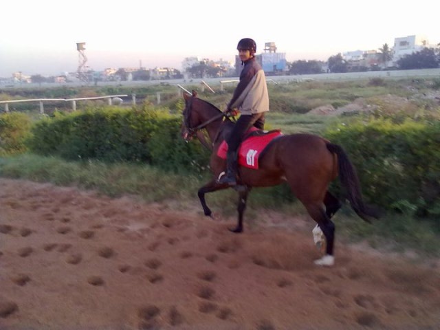 hind quarters engaged while trotting