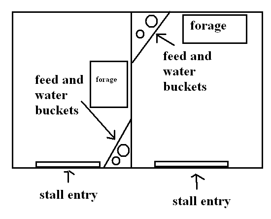 position for feed box, water bucket in the stall