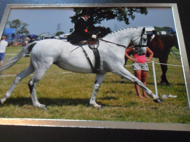 recent competition prior to stud