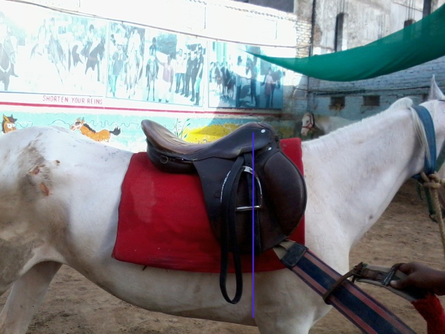 saddle laid 