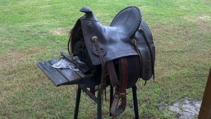Top view saddle