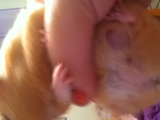 hamster spots 2