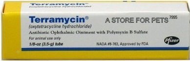 Teramycin Eye Ointment