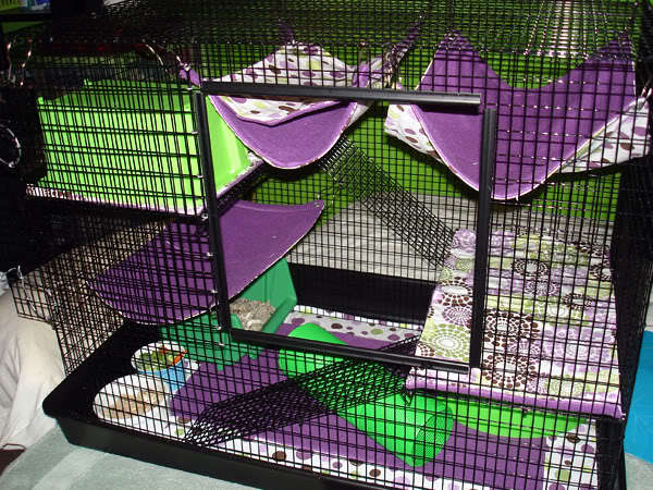 Martin\'s Cage