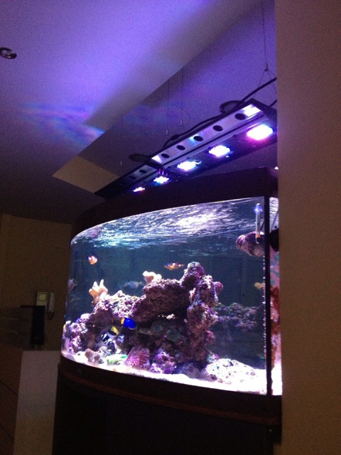 Tesla LED Aquarium Lighting