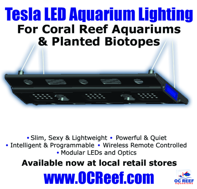 OCReef.com\'s Tesla LED Aquarium Light