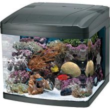 Oceanic BioCube Nano Aquarium