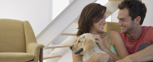 10 Best Dog Breeds for Millennials