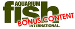 Aquarium Fish International Bonus Content December 2009