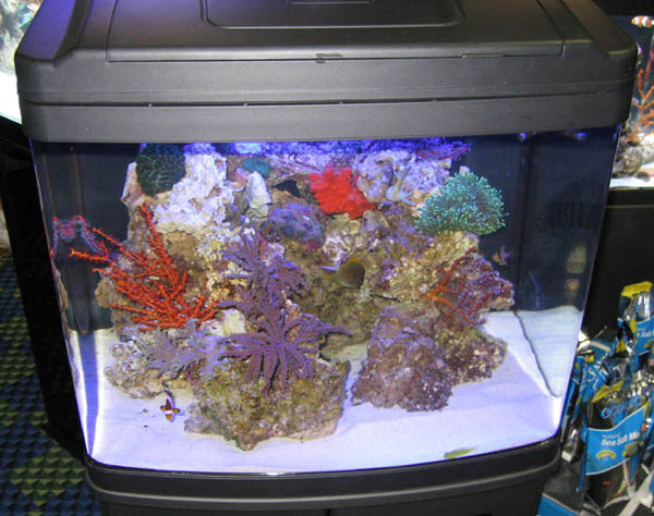 nano Reef Aquarium