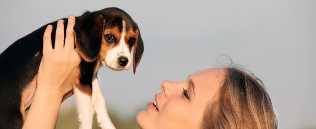 A Veterinarian's Advice for New Puppy Parents 