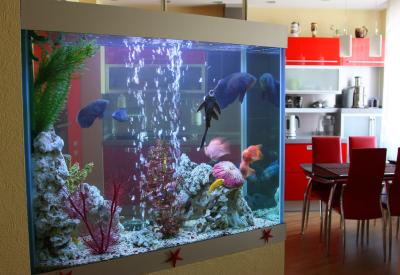 prevent your aquarium from becoming a war zone