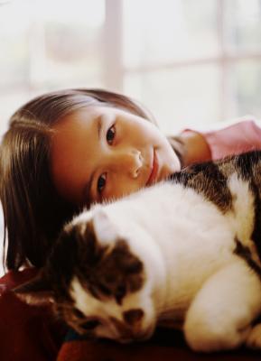 Certain cat breeds are wonderful with children.