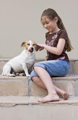 Many domesticated animals simply could not survive without human care and influence.