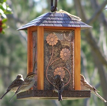Hang bird feeders on a pole system.