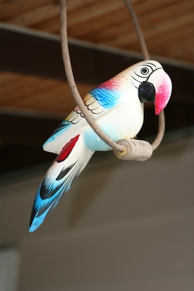 There are various types of bird perches, such as ones made from rope.