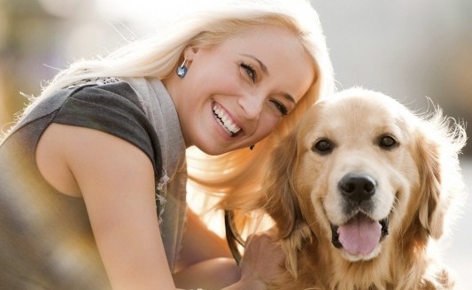 A Guide to Healthy Pets 7 Must-Haves for Your Dogs