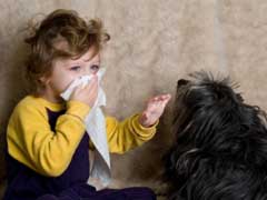 Dog Bad Breath Causes