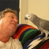 Companion Parrots - Gratification Of Living Together